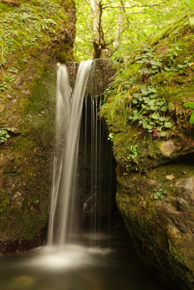 Remanso de paz